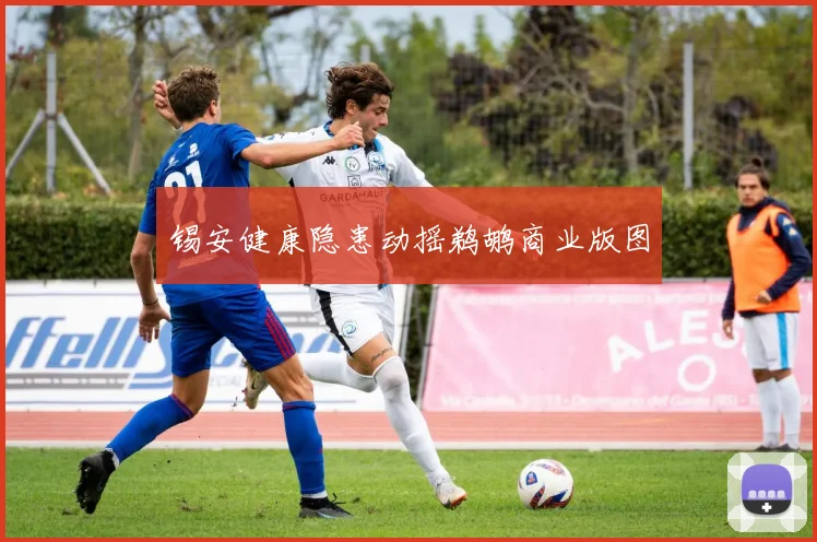 锡安健康隐患动摇鹈鹕商业版图
