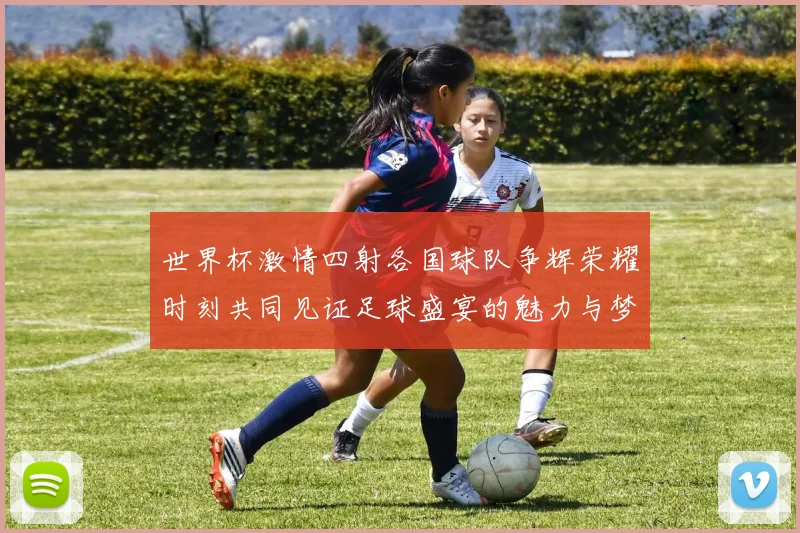 世界杯激情四射各国球队争辉荣耀时刻共同见证足球盛宴的魅力与梦想