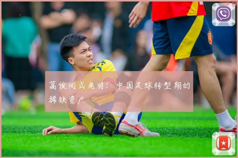 蒿俊闵式老将：中国足球转型期的稀缺资产