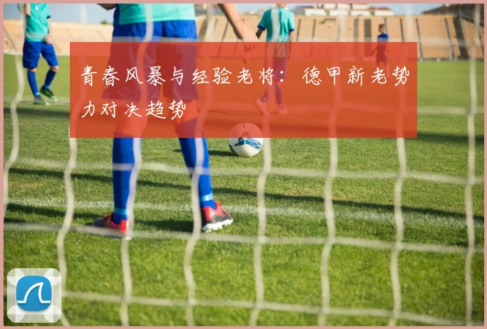 青春风暴与经验老将：德甲新老势力对决趋势