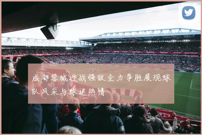 成都蓉城迎战强敌全力争胜展现球队风采与球迷热情