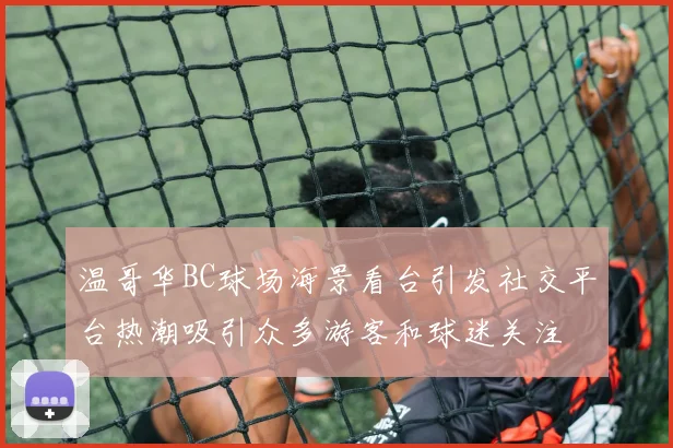 温哥华BC球场海景看台引发社交平台热潮吸引众多游客和球迷关注