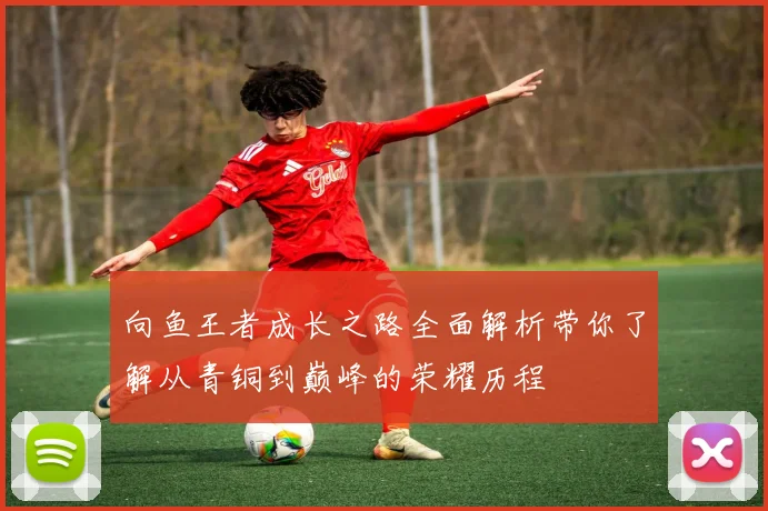 向鱼王者成长之路全面解析带你了解从青铜到巅峰的荣耀历程