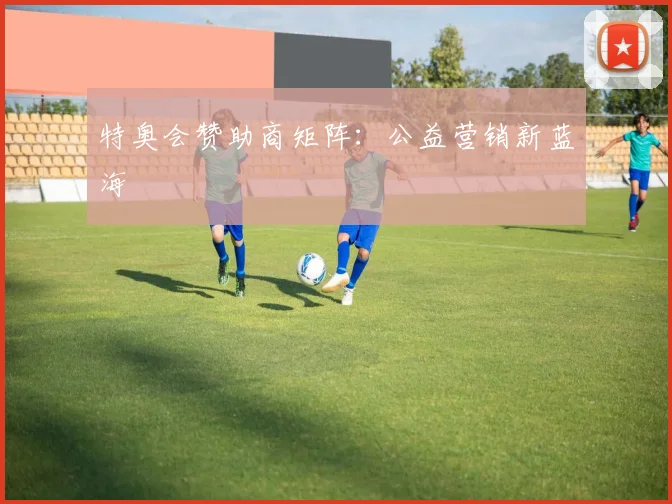 特奥会赞助商矩阵：公益营销新蓝海